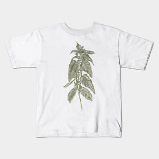 Nettle Kids T-Shirt